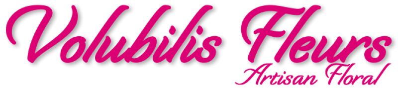 Fleuriste Le Havre Volubilis
